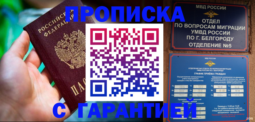 прописка для работы в Камчатском крае